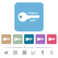 Poster - Public key flat icons on color rounded square backgrounds