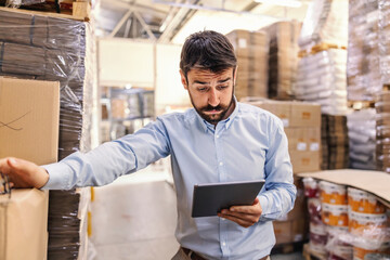 Wall Mural - Amazed young attractive bearded supervisor standing in warehouse and looking at tablet.