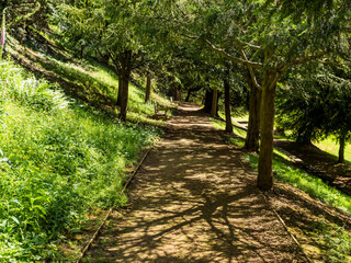 Poster - Path, Footpath, Track, Trail in the English Countryside. For walking, hiking, rambling and trekking.