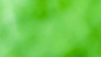 a green natural background