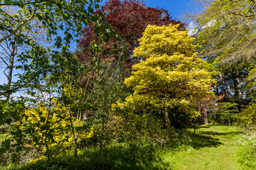 Wall Mural - Path, Footpath, Track, Trail in the English Countryside. For walking, hiking, rambling and trekking.