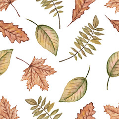  Seamless pattern of autumn leaves and acorns painted by watercolor on a white background.