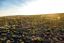 Plowed Field And Blue Sky, In Norway Scandinavia North Europe , Taken In Nordkapp, Europe