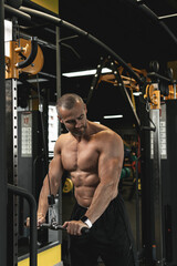 Wall Mural - Muscular bodybuilder during his workout in the gym