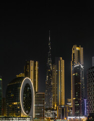 Wall Mural - dubai skyline at night