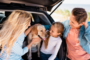 Wall Mural - Selective focus of family looking at golden retriever in car truck outdoors