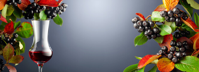 Syrup of black chokeberry with ripe juicy berries and colorful leaves.