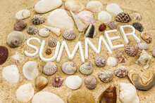 Word 'Summer' Surrounded By Seashells On Sand Background