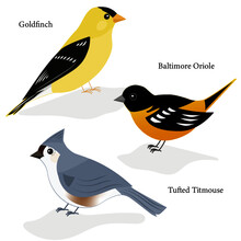 Goldfinch, Baltimore Oriole, Tufted Titmouse Simple Vectors