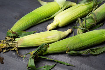 Wall Mural - fresh ears of corn maize in leaves on black wooden background