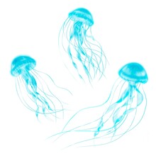 Set Of Neon Jellyfish Isolated On White Background. Digital Illustration.