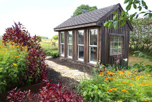 Old Wooden Garden Shed Near Horse Pasture In Lush Summer Cottage Garden