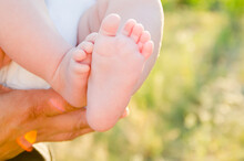 Baby Feet In The Field. Infancy. Little Child Playing In The Field. Mom Holding Baby In The Field With Bare Feet