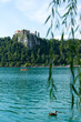 Weidenzweige vor Bleder Burg Veldes in Slowenien / Mark Krain über dem türkisen Bleder See umgeben von grünen Bäumen bei