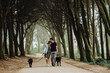 © Cavan Images - Couple embracing while walking dogs on a leash down a road in forest
