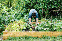 Photo Of A Man Working In His Vegetable Garden