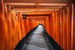 © Cavan Images - Japan, Honshu, Kyoto, Fushimi Inari-taisha, Torii japanese gates