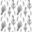 © Kseniia - Hand drawn thyme seamless pattern. Vector illustration