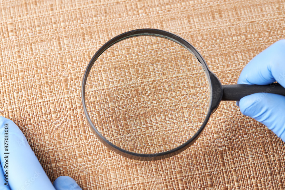 person detecting pest or insect on a furniture textile. parasite control and cleaning service concept. sanitation worker. copy space