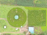Fototapeta Boho - Labyrinth in Costa Rica