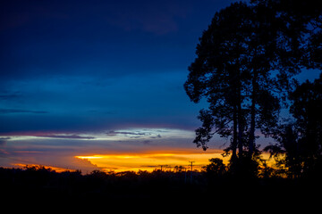 Beautiful dramatic sunset background. soft focus. foreground tree silhouette.