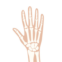 Sticker - Arthrits x ray