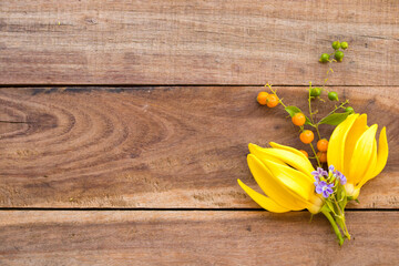 yellow flowers ylang ylang local flora of asia with light arrangement flat lay postcard style on background wooden