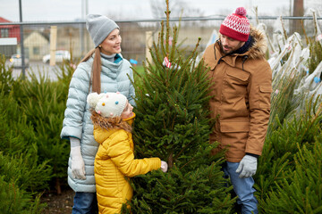 Poster - family, winter holidays and people concept - happy mother, father and little daughter choosing christmas tree at street market