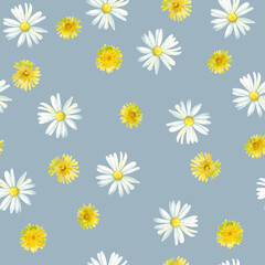 Poster - Seamless watercolor pattern of dandelions and white daisies