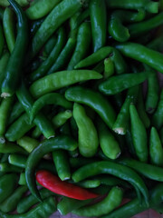 Wall Mural - Fresh vegetable green chilli peppers