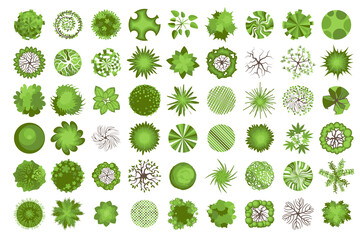Trees top view. Different plants and trees vector set for architectural or landscape design. (View from above) Nature green spaces.