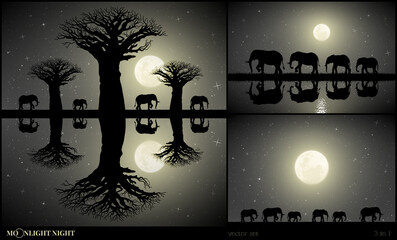 Sticker - Elephant family walking between baobab trees on moonlight night. Landscape with big animals on river bank in savannah. Full moon in starry sky. Black and white vector illustration set