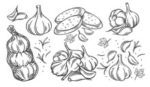Garlic Outline Drawn Monochrome Icon