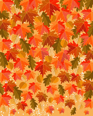 Wall Mural - Autumn abstract background with falling leaves of maple, oak and aspen. Bright banner, poster, cover design template, social media wallpaper story, autumn sale. Vector illustration.