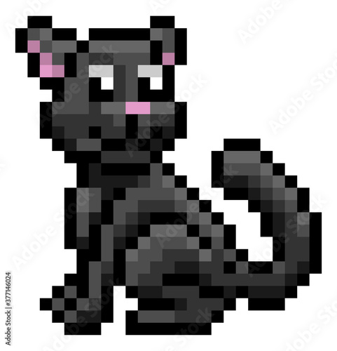 A Halloween black witch cat...