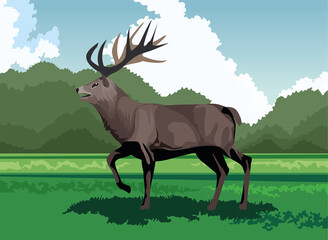 Poster - wild reindeer animal nature icon