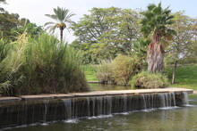 A Pool And Waterfall Flowing In The Green And Fresh Environment Of Edith Wolfson Park Located In Tel Aviv Israel