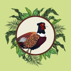 Poster - wild pheasant bird animal with leafs plants