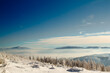 zimowy krajobraz na szlaku w górach