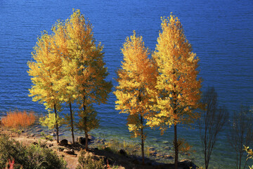 Wall Mural - Yunnan Lijiang Ninglang Lugu Lake Autumn Scenery