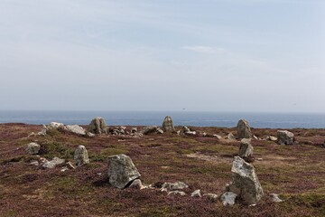 Menhir stones in a heath landscape at Ouessant island, Brittany