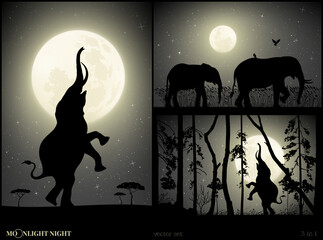 Sticker - Elephant silhouette. Animal family. Moon and stars. Black white set
