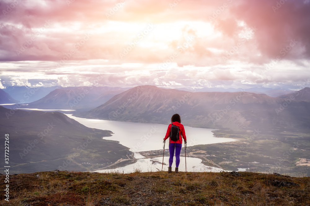 Adventurous Girl Hiking up the Nares Mountain during a cloudy and sunny evening. Taken at Carcross, near Whitehorse, Yukon, Canada. - obrazy, fototapety, plakaty 