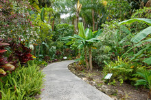 The Sidewalk Through A Garden At A Botanical Garden