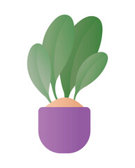 Poster - Isolated plant inside pot vector design