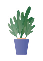 Poster - Isolated plant inside pot vector design