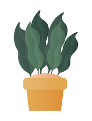 Poster - Isolated plant inside pot vector design