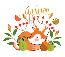 Wall Mural - hello autumn, sleeping fox acorn flowers leaves foliage banner