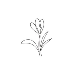 Wall Mural - One single line drawing of beauty fresh croci for garden logo. Printable decorative crocus flower concept for home decor wall art print poster. Trendy continuous line draw design vector illustration