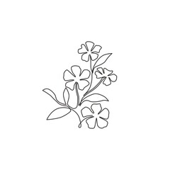 Wall Mural - Single one line drawing of beauty fresh catharanthus for garden logo. Decorative periwinkle flower concept for home wall decor art poster print. Modern continuous line draw design vector illustration